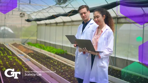 indoor sustainable farm